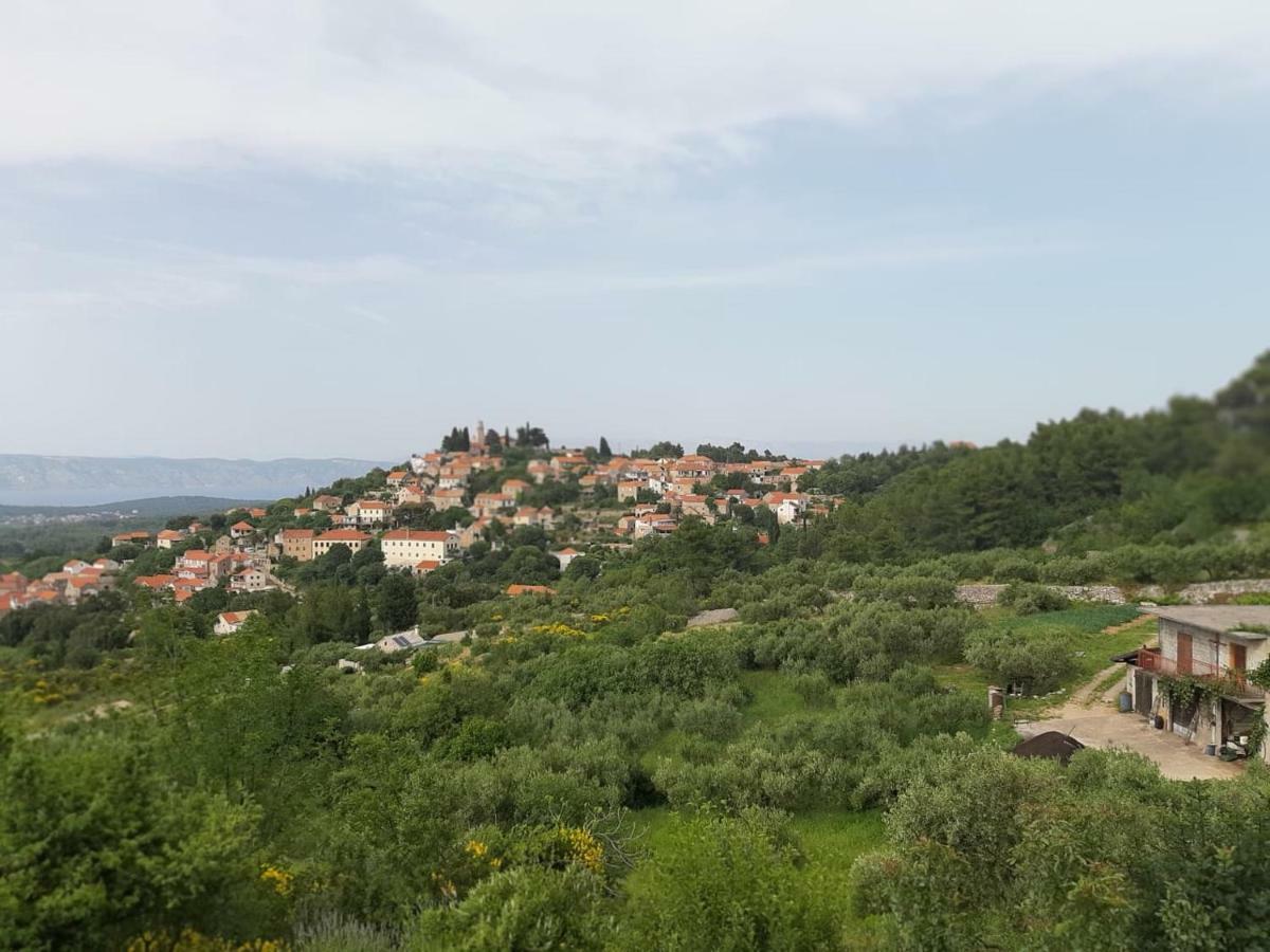 Kuca Za Odmor Dobrila Hotel Jelsa  Bagian luar foto