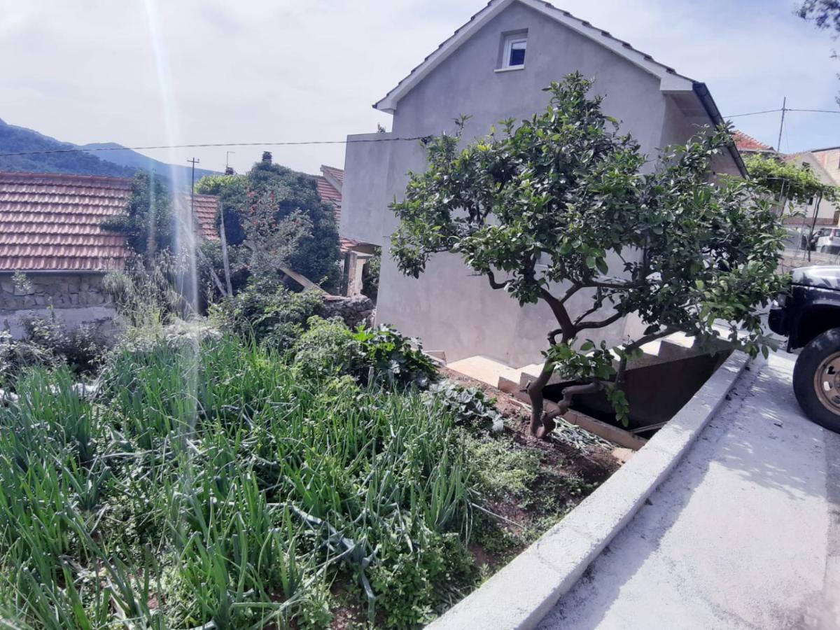 Kuca Za Odmor Dobrila Hotel Jelsa  Bagian luar foto